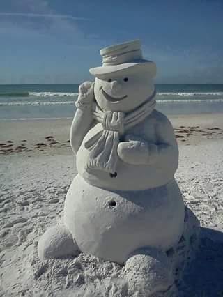 Merry Christmas from sunny Sarasota, Florida my you have a bright and healthy new year