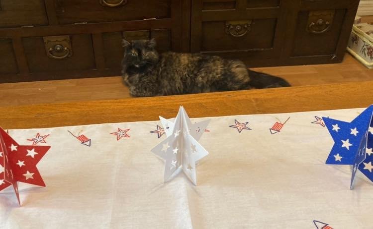 Audrey is ready for the fourth.