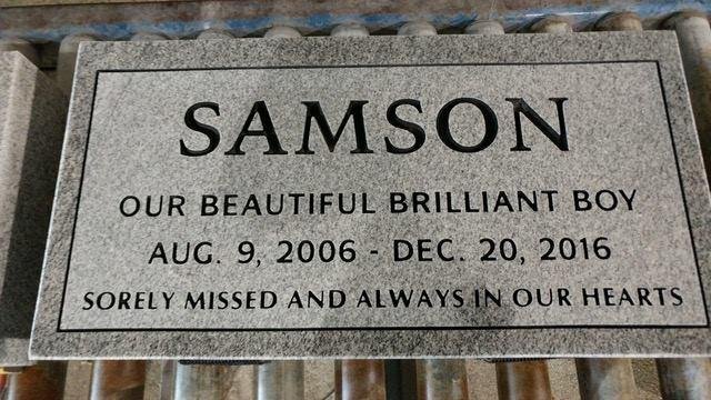 Richard M Goldenberg's album, Samson headstone