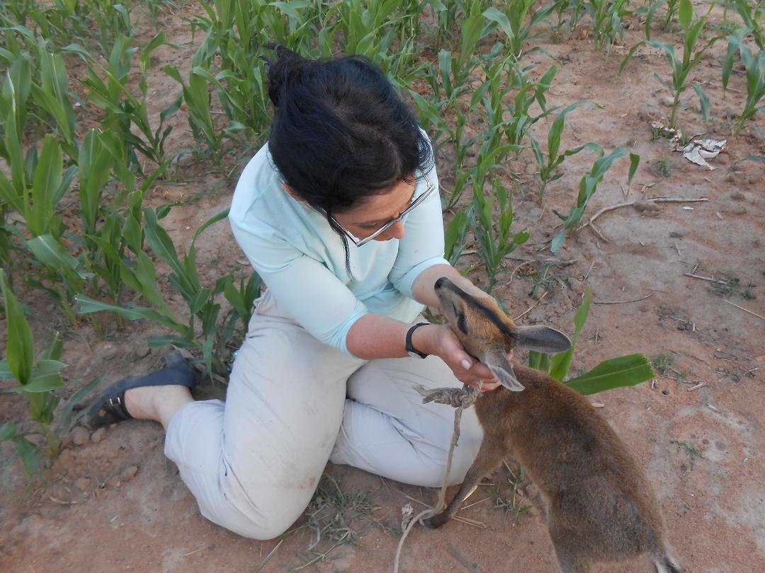 Ellen and her pet Dik-Dik in South Sudan.