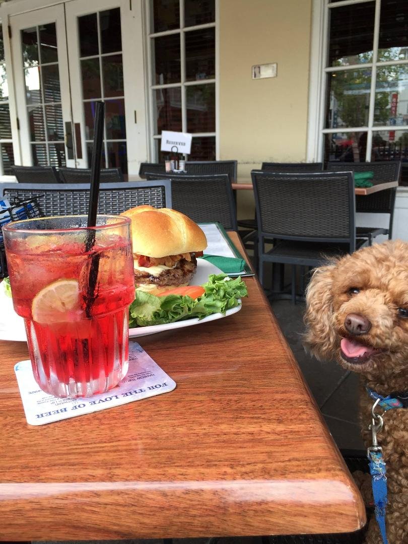 Cubby O'Brien's first visit to the Celebration Town Tavern.... YUM!
