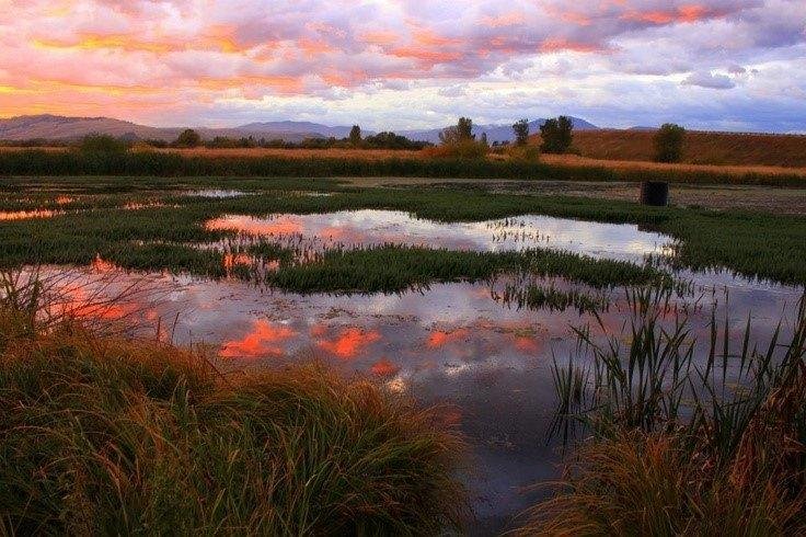 When I was in Montana I was so struck by the beauty of the sunrises. Purple mountains majesty is so true there...