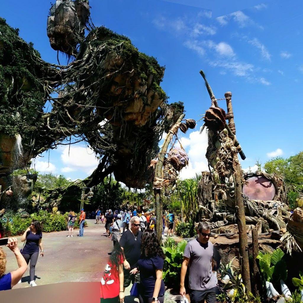 At Pandora