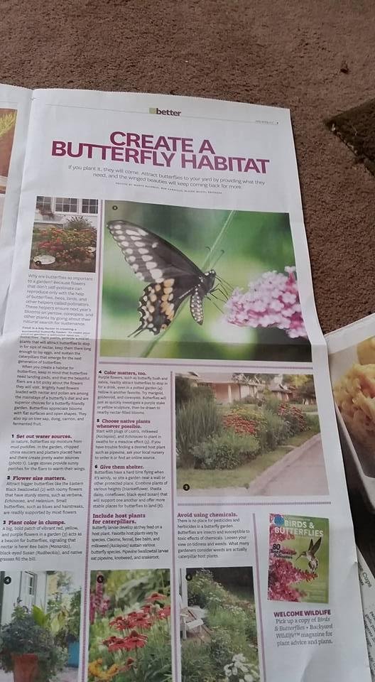 Bad timing. How dare they.This article is making me wanting summer now.  Right now. I started last year planting for butterflies now this comes in our local paper today making me yearn even more.  And Bob is ready to get ba