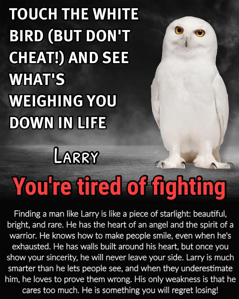 Larry Collier's album, Timeline photos