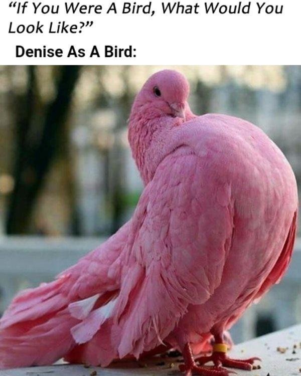 Interesting....... Hahaha!!!!