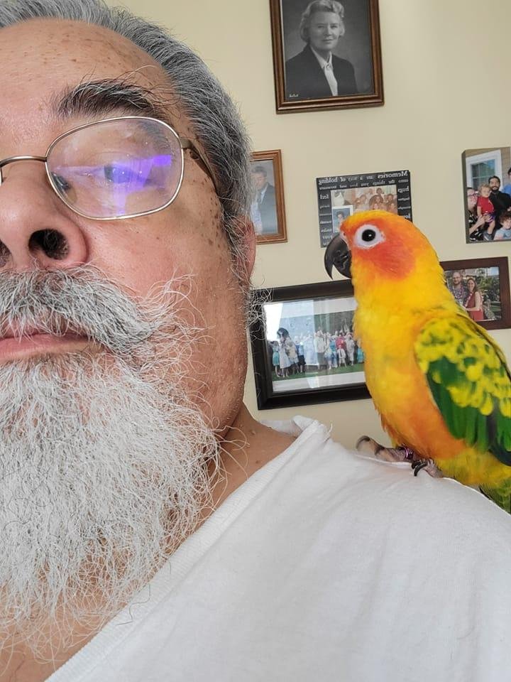 "My ape...", says the bird.