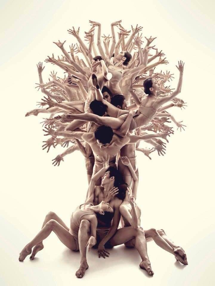 I am of words to fill the tides of waters. 
As I tread ethos guides I am immersed.
My fingers etch words to page’s written. 
Poetic Lauraceae....Laurel Anne Barron