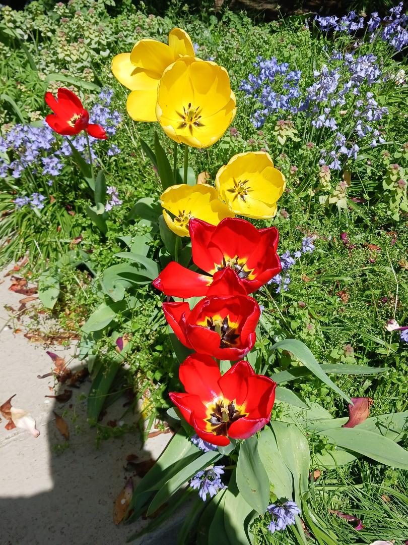 Laurence Margolis' album, Timeline photos