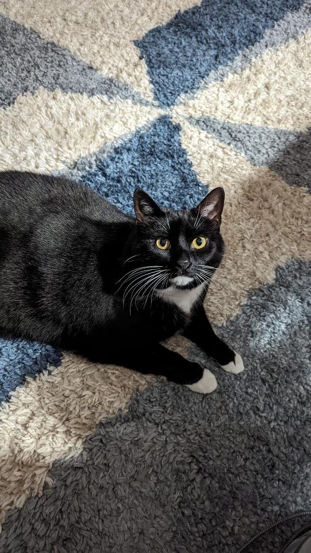 Miss Leia ❤️