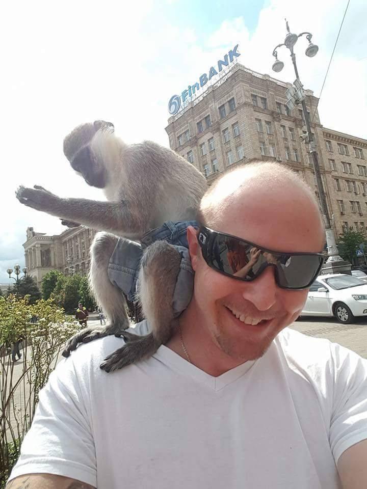 Matt Stone's album, Mobile uploads