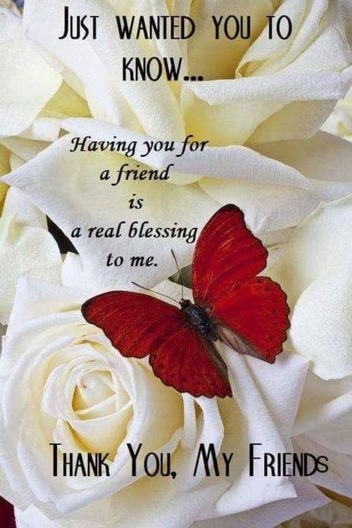John Calladine's album, Timeline Photos