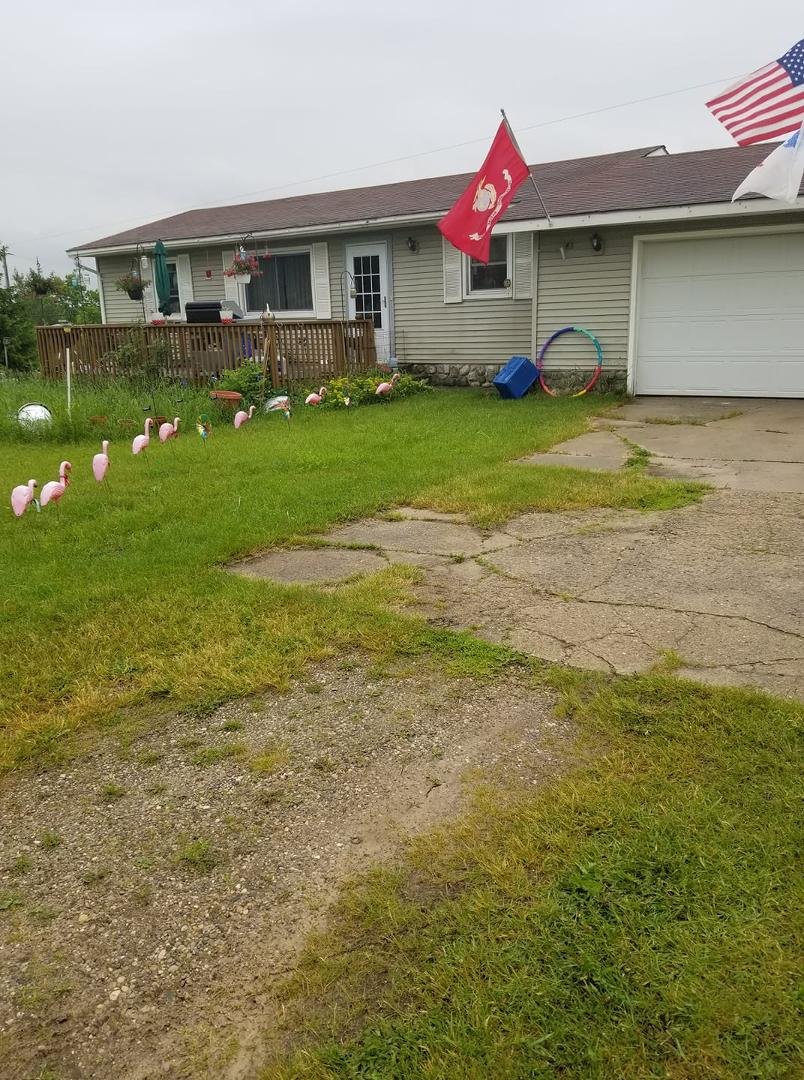 Where does one go? One goes where the Flamingos. Gotcha Rachel!
