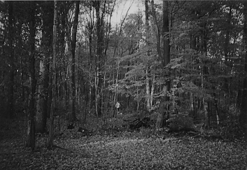 Day 3 of Seven days. Seven photos of your daily life in black and white. No people, no explanation. Challenge someone every day.
I challenge Valerie Wojak Kiesel