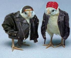 Robert Blakeslee's album, Bob's Funny Pic's
