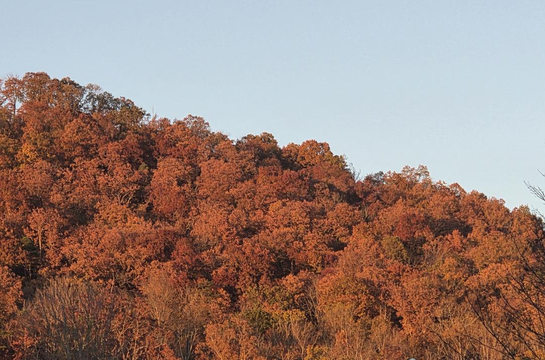 cold in the hills...but the sun always has one last gasp before setting.