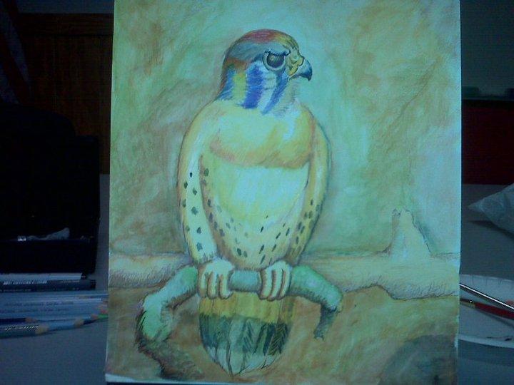 Mike McGrane's album, My Recent drawings
