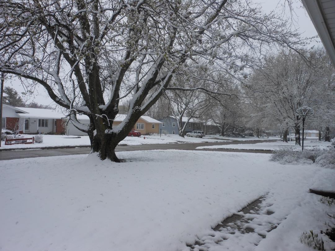 My front yard today--May3, 2013