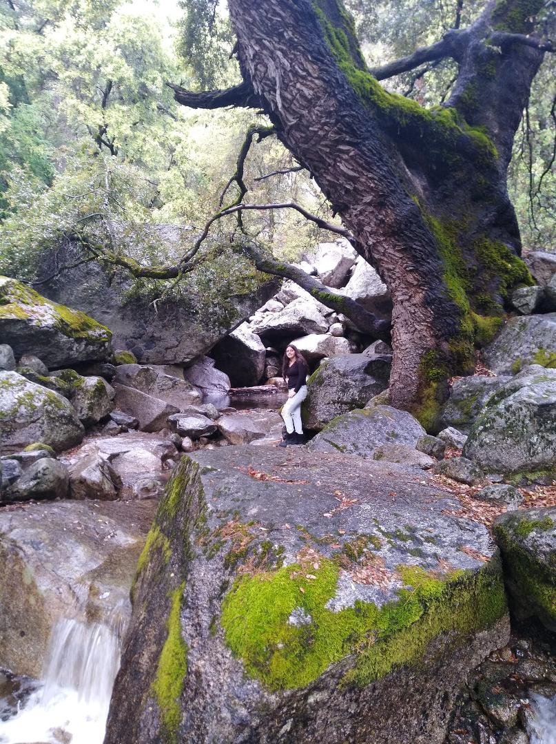 Hiking to falls