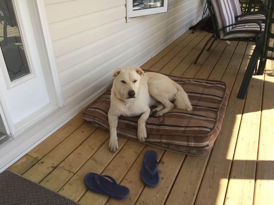 Grace Bittner's album, Timeline Photos