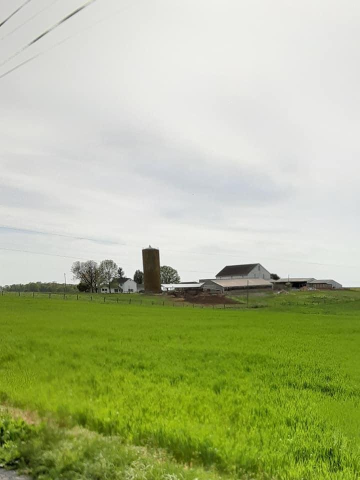 Susan Stone's album, Mobile Uploads