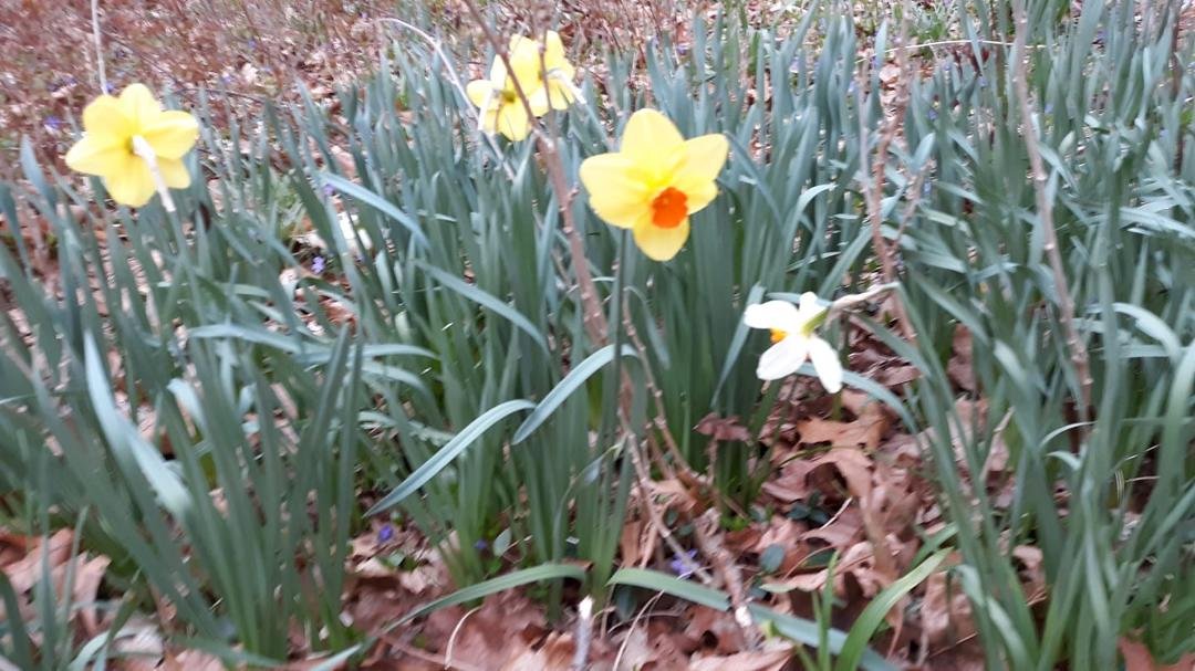 Larry Winters' album, Timeline Photos
