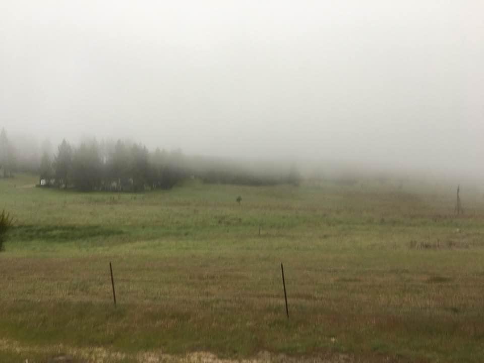 Good morning from Baldy Mountain Ranch