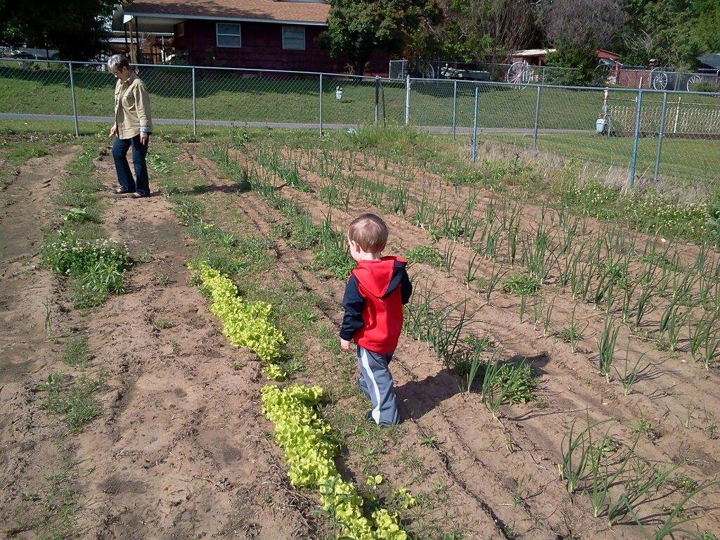 Granny , how do make your garden grow?