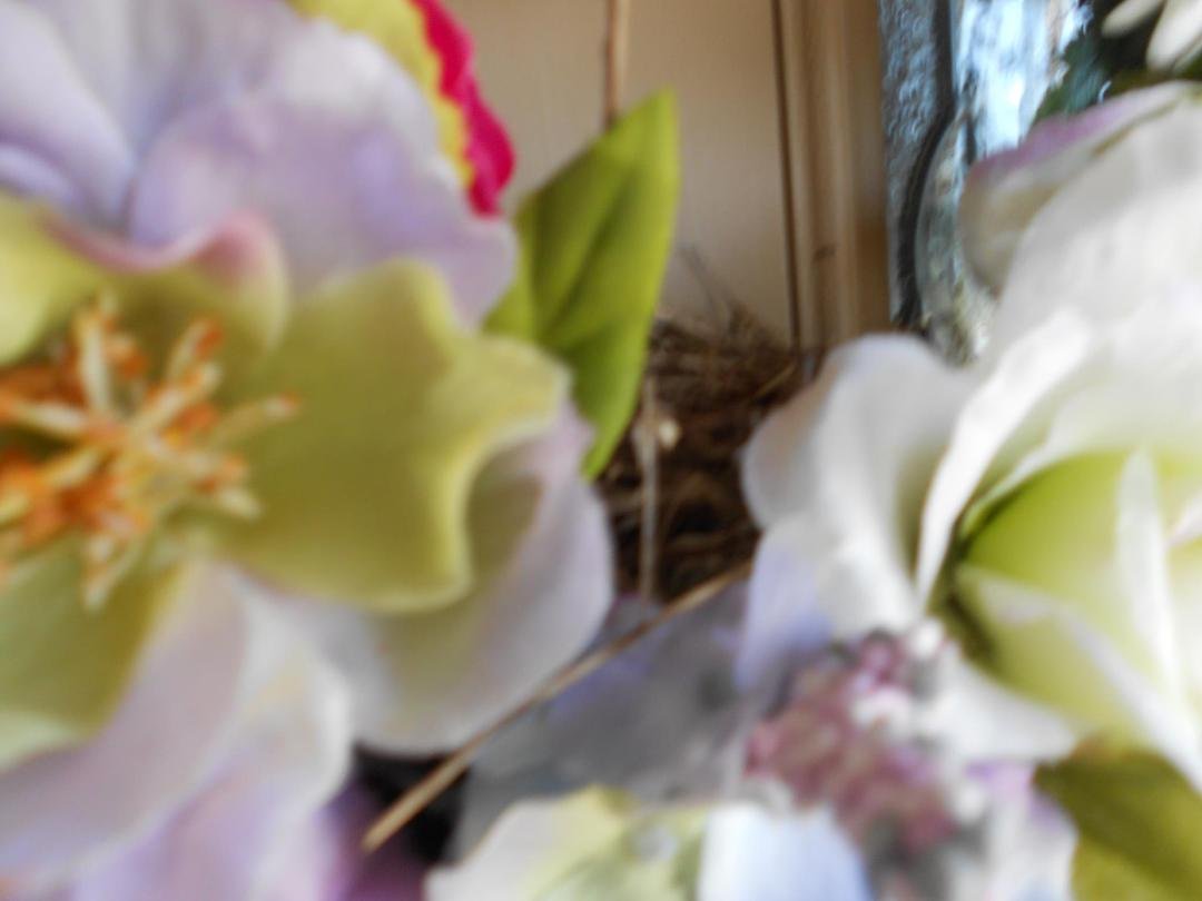 Barbara Grafe's album, Timeline Photos