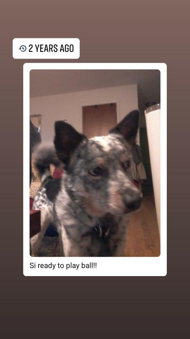 Chris hewitt's album, Mobile Uploads