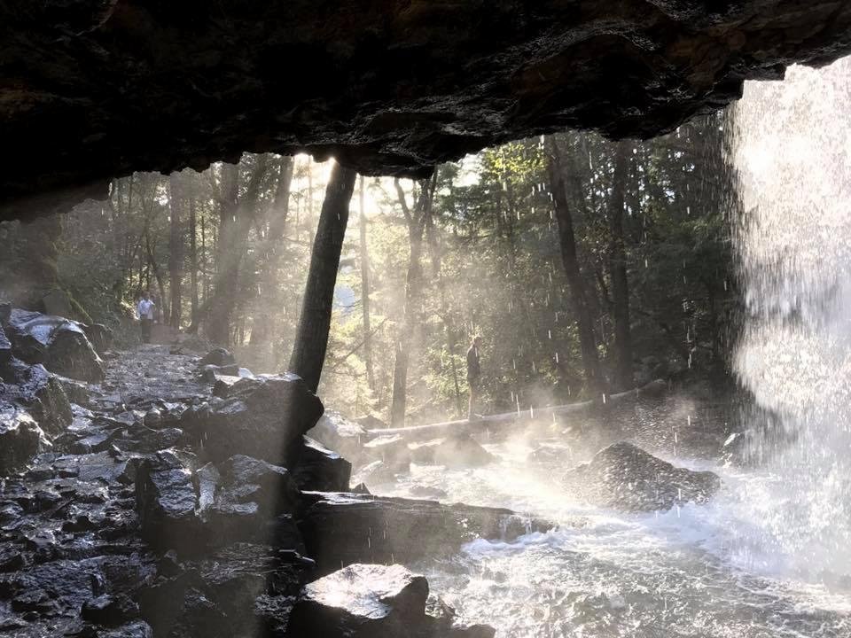 Steven Wright's album, Mobile Uploads
