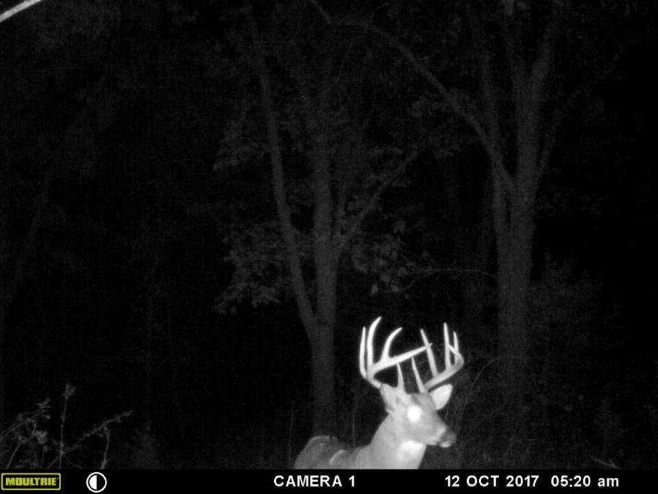 What do you think he might score? Got him on camera last year.
