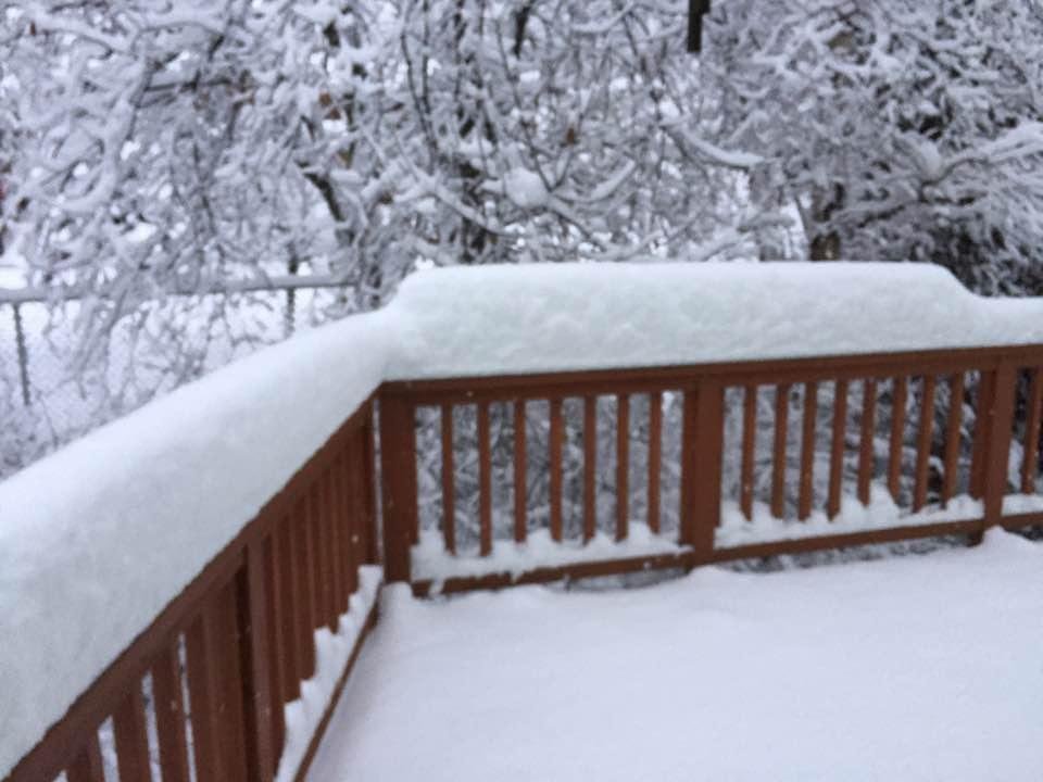 Ron Brooks' album, Timeline Photos