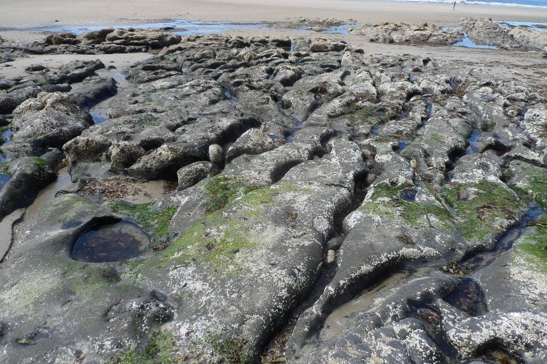 Sea caves and tide pools, definitely low tide