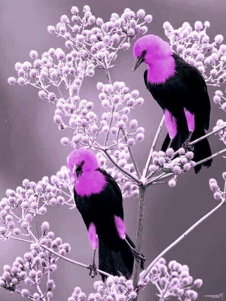 Good Morning Everyone!
“Take a deep breath and Relax.”