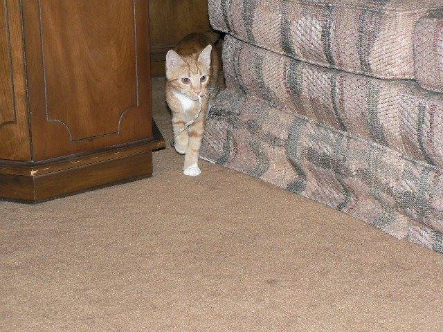 9/14/2008, the beginning for Sandy