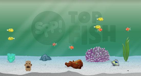 Barbara Bayer's album, Top Fish Photos