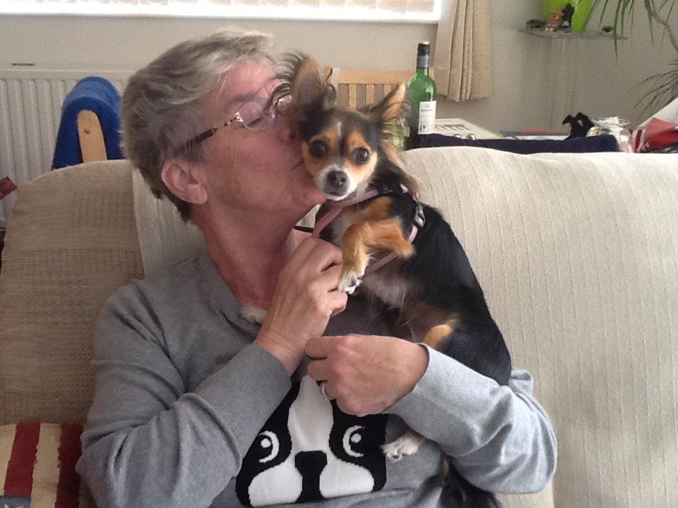 This is Bonnie and she has stolen my heart. She has a Yorkie brother named Spike and a Jack Russel  sister named Poppy. I'm leaving them today, and I'm very sad about it. I will post a pic of all three if I can get them all