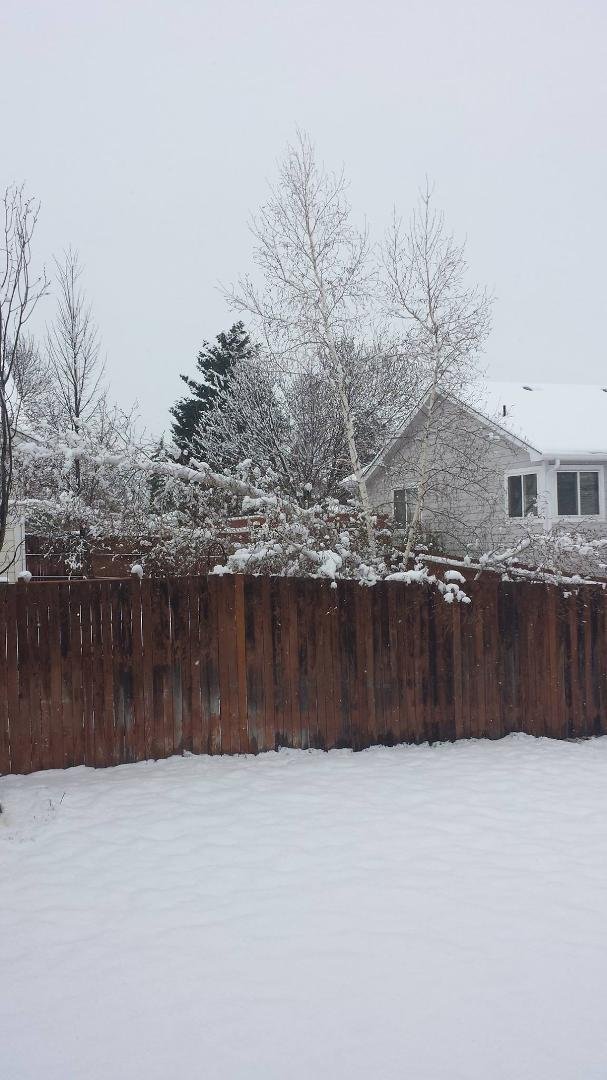 This is what I woke up to this morning. A beautiful day. By noon most of the snow was gone. Every day is a beautiful day!
Cameron Maxson don't you feel guilty that you were playing golf while I was shoveling?