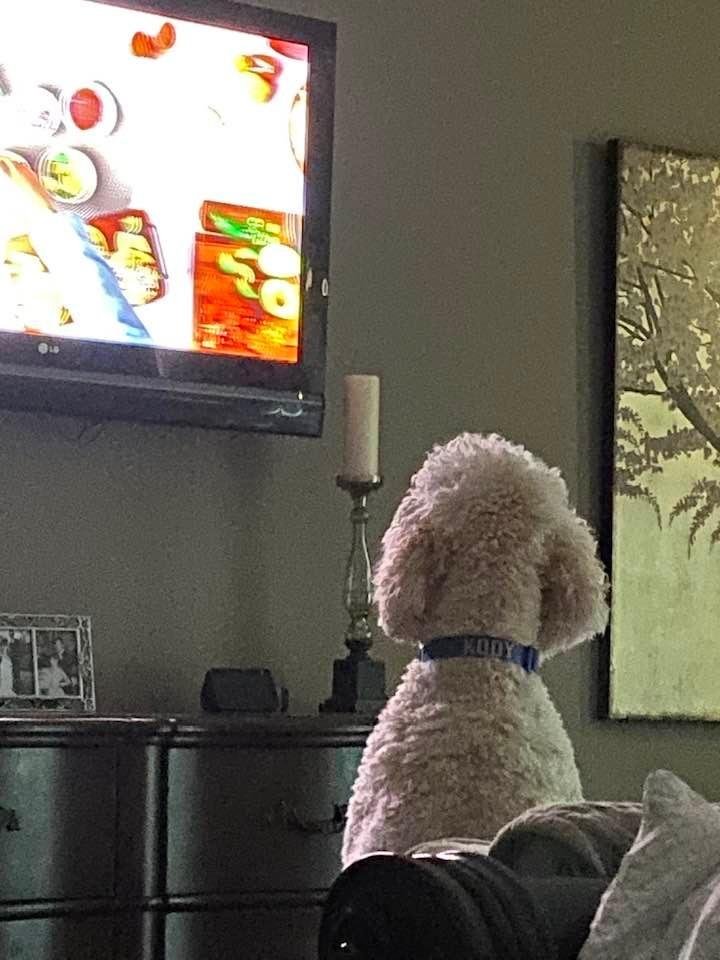 Kody watching GMA this morning. 😂