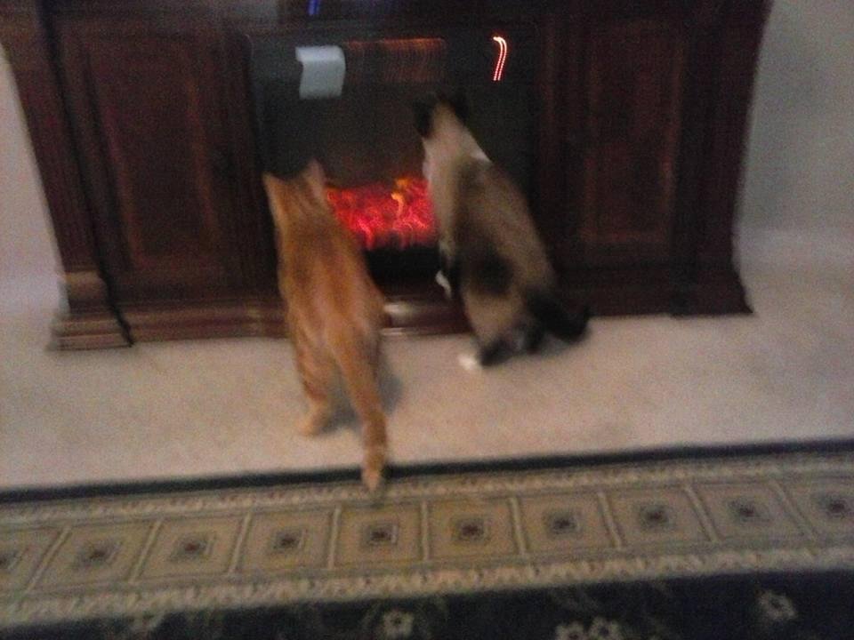 My baby's trying to. Stay warm