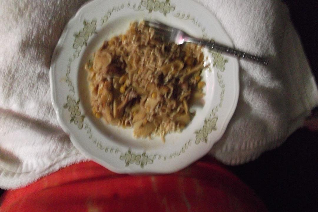 homemade chicken chow mien, I made for dinner tonight