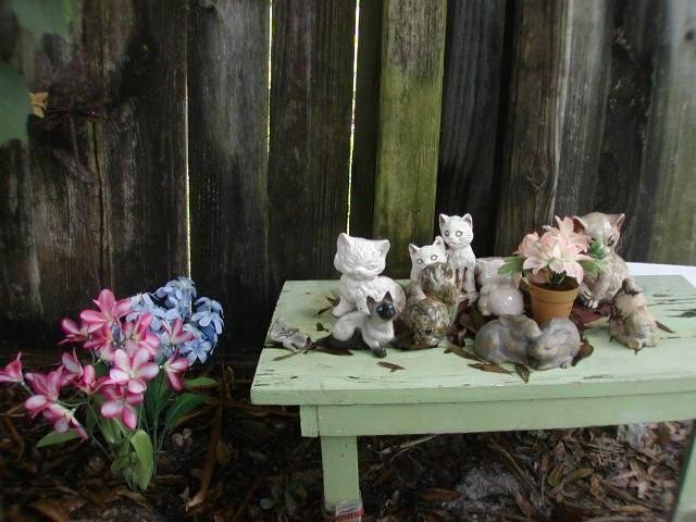 KITTENS SECTION