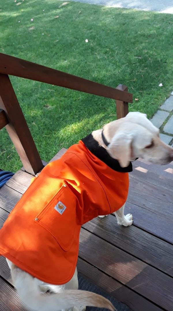 Xena is all set for hunting season