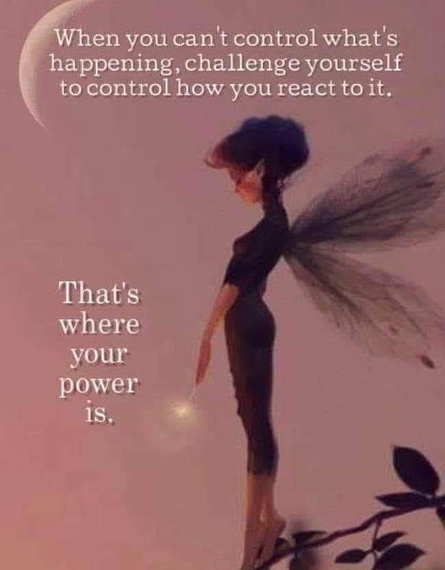 Joyce Cook (Wiklund)'s album, Timeline photos
