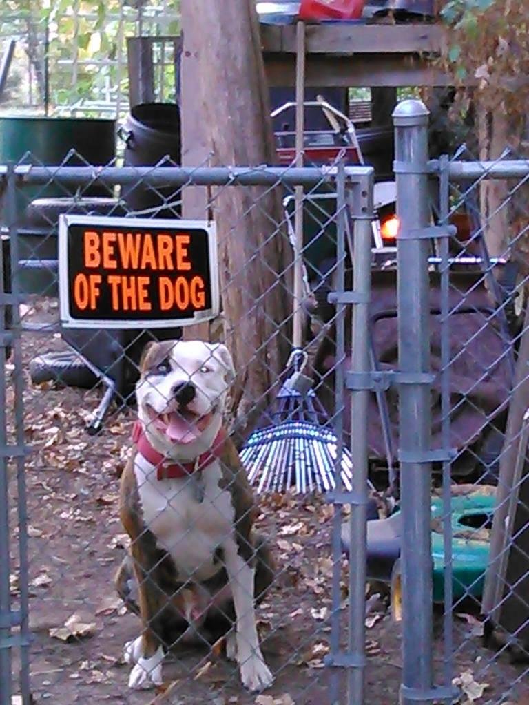Come on in..... I won't BITE YOU.