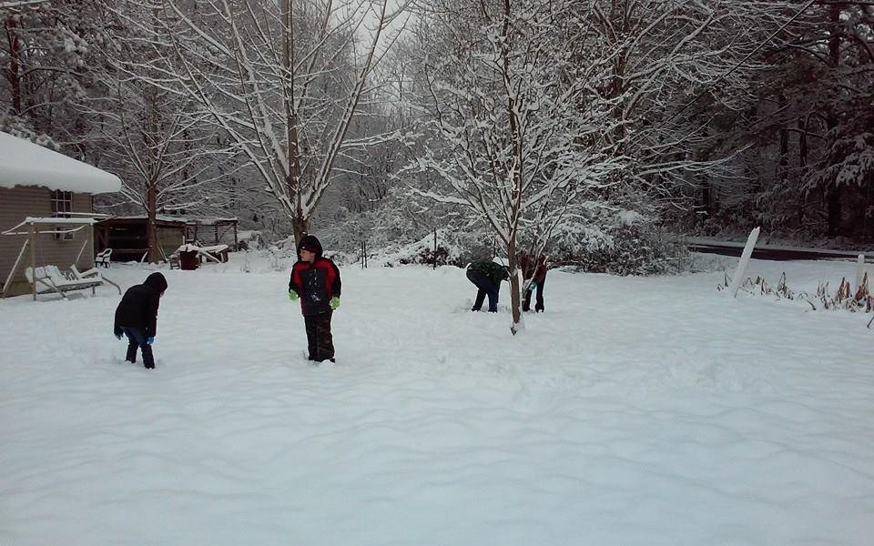 Carol Branham's album, Mobile Uploads