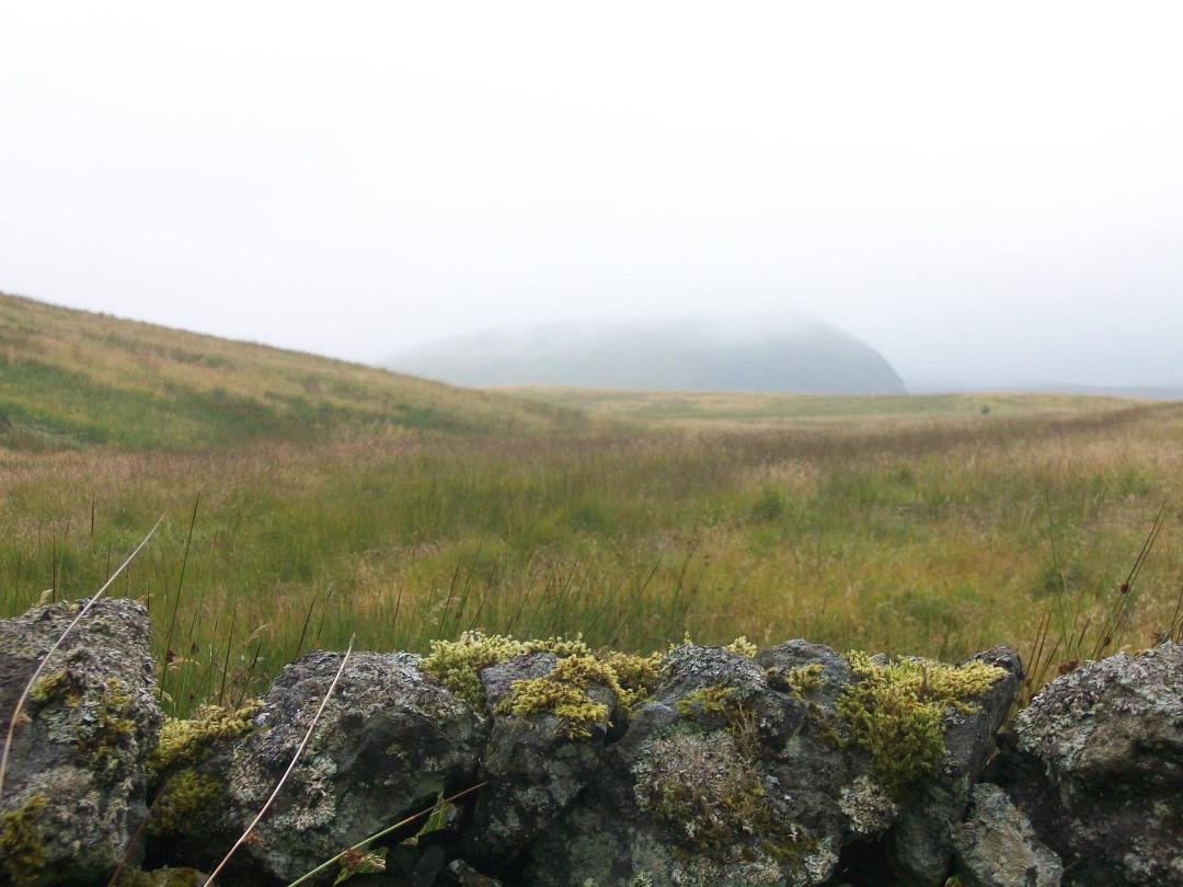 Glen Ritchie's album, Misty Day In The Hills!
