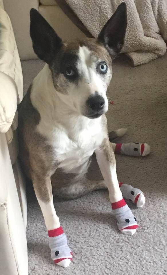 Patience is a virtue...(you have about five minutes to remove these, woman).