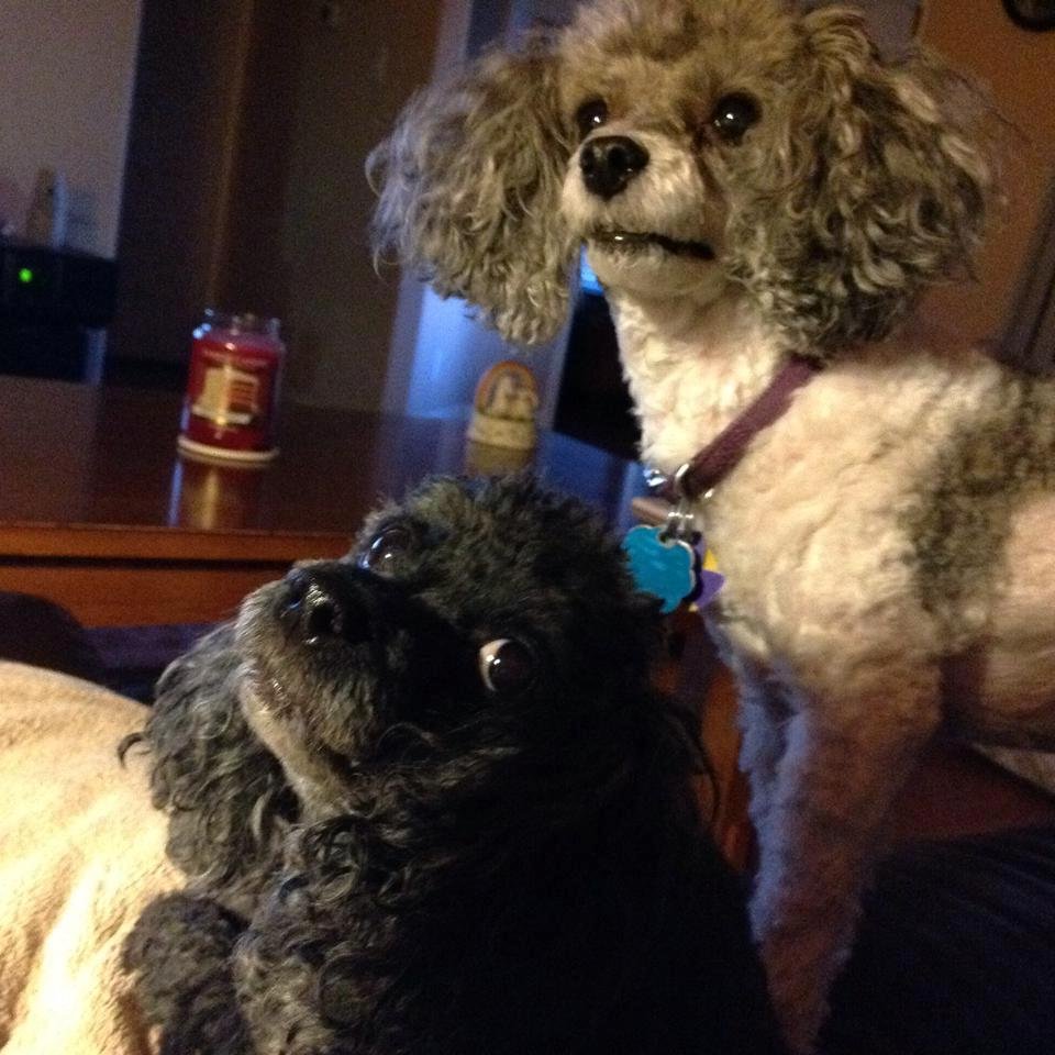 Mt two sweet babies I just love them